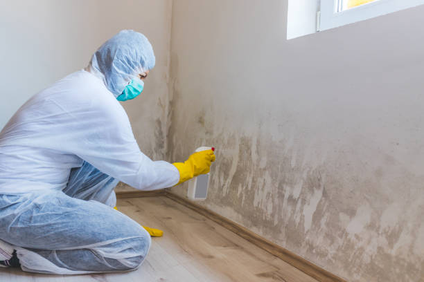 Licensed Bathroom Mold Removal service in New Millport, PA - WQB Mold Removal