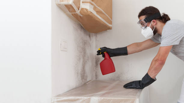 Professional Bathroom Mold Removal technician working in New Millport, PA